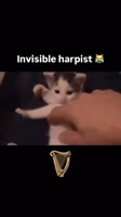 063580875.mp4