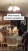 3467899000.mp4
