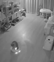 1741419677646.mp4