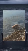 SaveClip.AppAQM4kY-z3KEsAVbD1t0PxC3VqOEwJL-QBOqo2foV3hOPCcPbMng8GT6qtwYaePfBCe1cSjg1mbYsVpDmglCNCcodxPJBL0Zbmcy1II.mp4