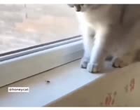 1000116657.webm
