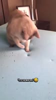 SaveClip.AppAQMzcW07Y-ZTyYH0M99geQW2OEgd1k-TOjrhtnuBYTnyBBSCE3QJ-b-H0iCHoGPLbwk4rtMGyQKlUzntVDLsQSKwqaS1qX3cqk.mp4