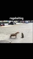 SaveClip.AppAQN8iGWjS0Q7UNis92616vUve5FQmh7PXMdZKUEUMvslMK-mumGIjYoqkpHbTJ6pj8NpDWgsixdyxXLnA8qM7RzcCLn4oinlDq3ObU.mp4