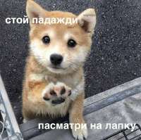 691d6272981c550290749f0a78d12719.jpg