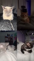 SaveClip.AppAQMDXX9ydomxgC40TBwBYmYyAVM9HSSXFYskGeampKhqbzoSyKt2Iav4IJU07bMeupXTj5lIVHIgysRCDWkh-5A0drDVeblWMmc.mp4