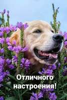 8e80a14fd5d463a328e91d3eeea70fd6.jpg