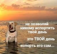 4005b94b6d1407322f801894d0458edd.jpg