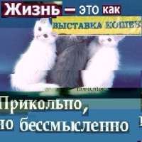 eaea20270e6015963a355cc5aee2bd1a.jpg