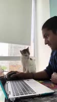 5790643789783.webm
