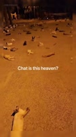 SaveClip.AppAQOytEBh2yeBL8iZXiBZQptskcRh51pFDx7GRHFYrqNfVhWdzwPEVBdiXj6Fba3ibq-jlaKZu6QhoQDCSd5md0cU2iOo6QW5mPDAcY.mp4