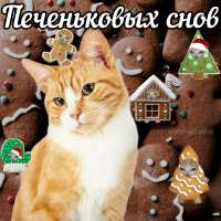 eb1c7d26fe545c818f4f09f75040d1dd.jpg