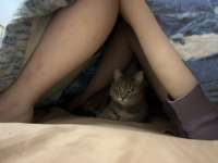IMG3853.jpeg