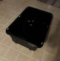 cats-black-cat-cat-in-the-box-8995522.jpeg