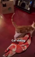 24578878130.webm