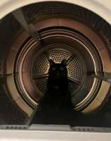 cats-animals-black-cat-8913222.png