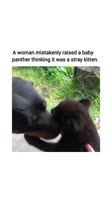 AQNnZP5aOUS2pIqWKaBFZmZQfn7VWsKWyaB-.mp4