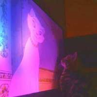 cats-tv-Blade-runner-2049-8770511.jpeg