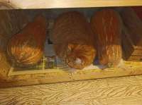 cats-8764388.jpeg