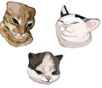 Janine-Schermafbeelding-art-cats-8761086.jpeg