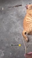 1000054444.mp4