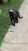 1000053178.mp4