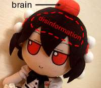 Gx6w2sBXwAAwsfM.png