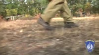 16399163766380.webm