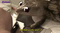 .webm