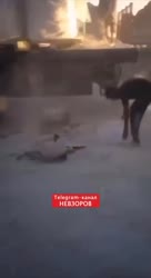 1754904592582.mp4