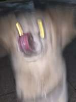 GvJeg7EXcAA4CSB.jpeg