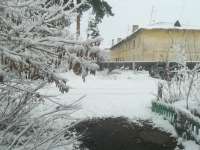 IMG20250114131012.jpg