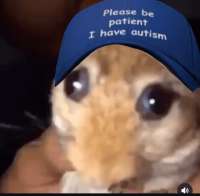 1755378496357.png