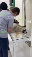 858c491d8c7b8345920425f4f782eecb.mp4