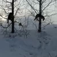 8998432090b50c96db5689d7c8e92129.mp4