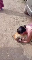 dn42xeiqs0f180d180m0464x848.webm