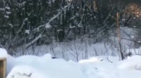 b421eb0cbf4191cdaeba9565268948dc.mp4