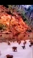 e55539ee9886455dfee9d840109288e9.mp4