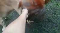 e7490098d3762943ec18bb1e6100dc78.mp4