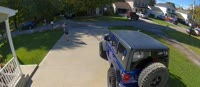 Neighbors dog gets hit by car, then person driving gets bit by other dog.mp4