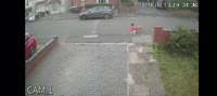 Out of control bully dog attacks young boy in UK.mp4