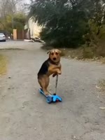 Sosal.mp4
