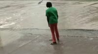 Аллигатор хочет кушать.mp4