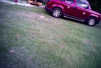 америка.webm