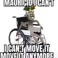 17421513749463.mp4