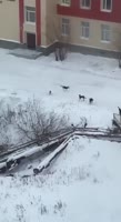 Бальзам на душу1.mp4