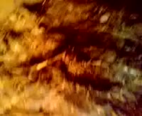 Баря баря баря.webm