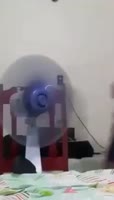 17048893348661.webm