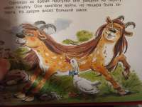 IMG20250306192241~2.jpg