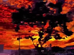 17491239864030.mp4