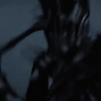 17525697391453.mp4